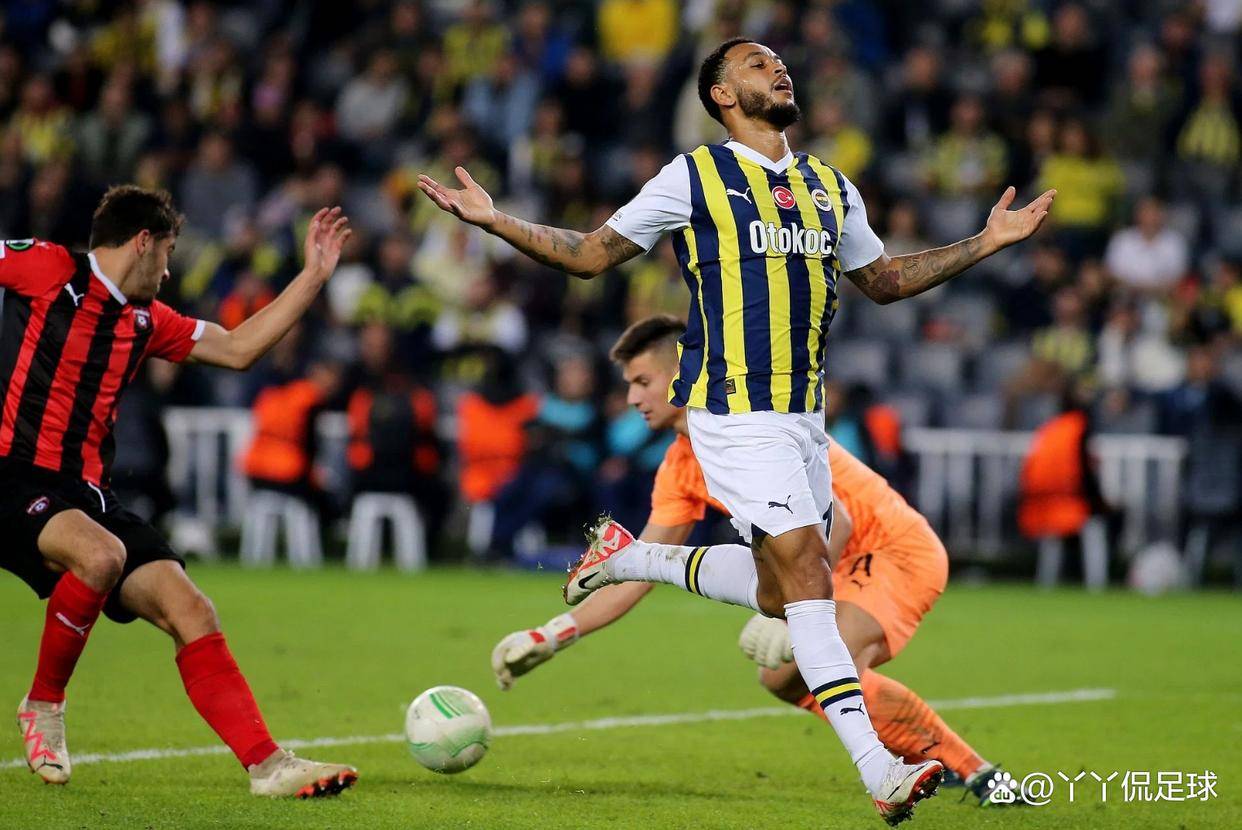 aoa体育馆-里昂坐镇主场，轻松击败对手的简单介绍