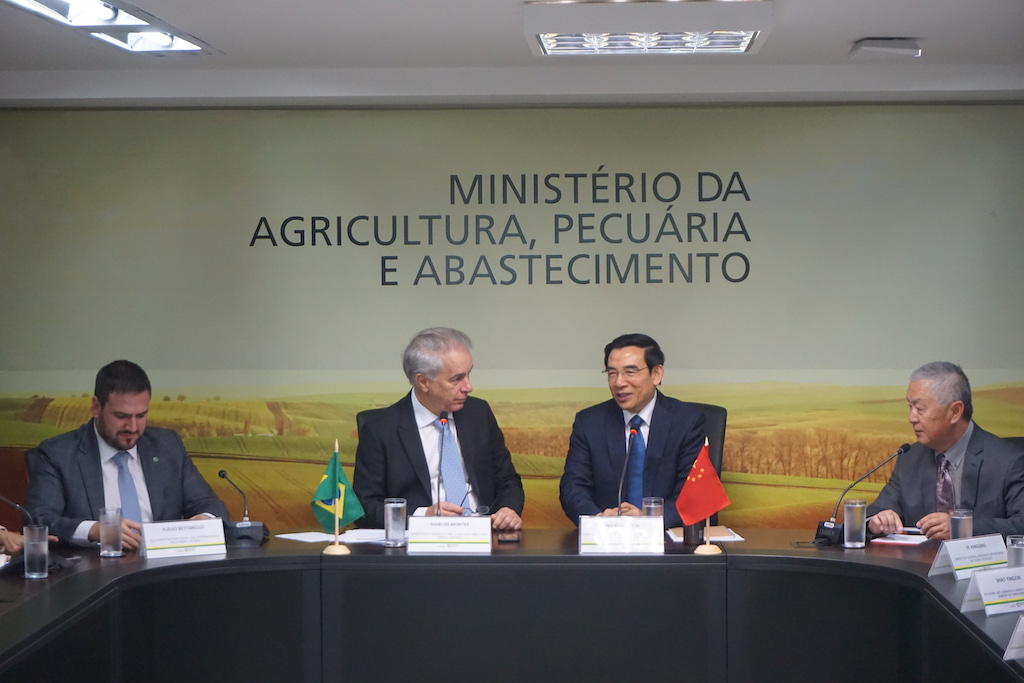 巴西代表团取得关键胜利,逐渐崭露头角 巴西代表团取得关键胜利,逐渐崭露头角